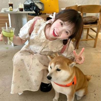 奶爸集中营